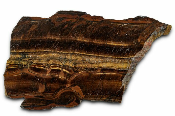 Polished Tiger's Eye Slab - South Africa #355287